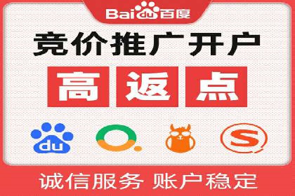 成功案例：sem竞价托管的智慧与策略